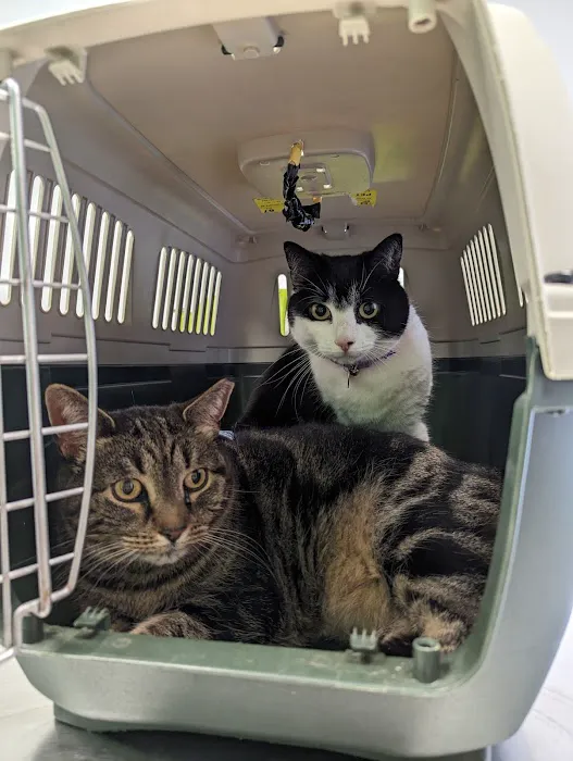 Nickel City Animal Hospital Picture 4