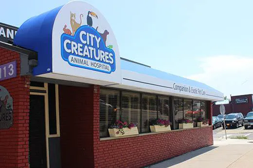 City Creatures Animal Hospital Picture 1