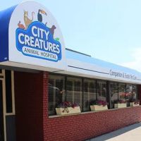 City Creatures Animal Hospital ico