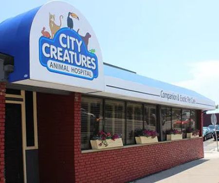City Creatures Animal Hospital