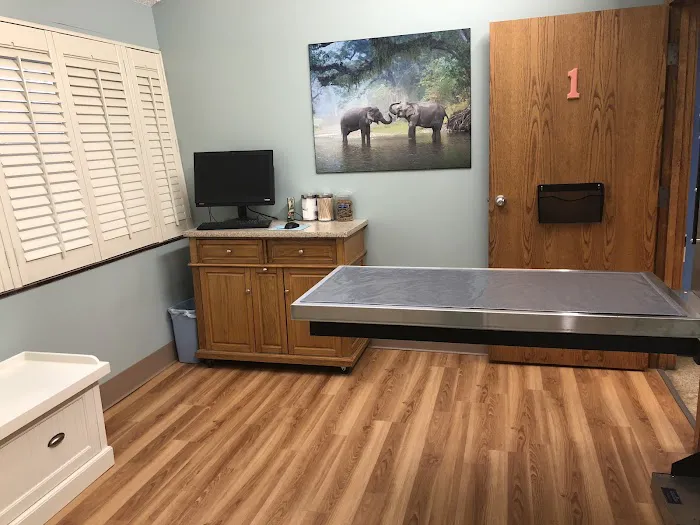 City Creatures Animal Hospital Picture 3