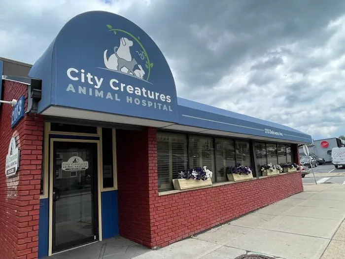 City Creatures Animal Hospital Picture 2