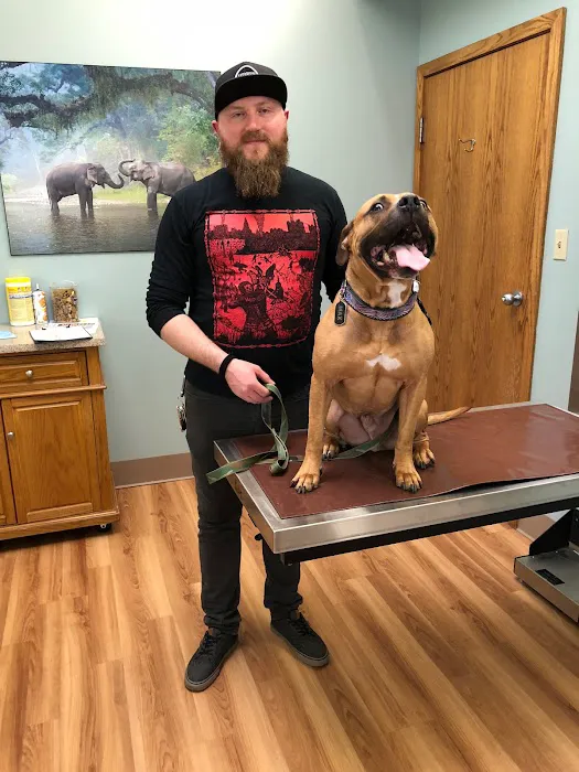 City Creatures Animal Hospital Picture 6