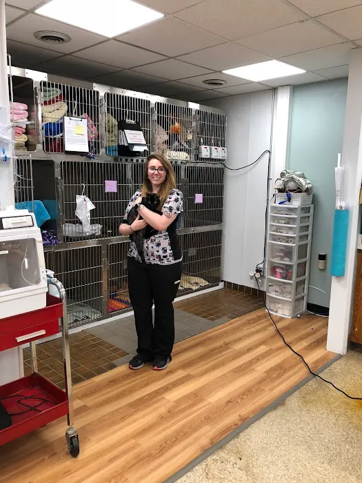 City Creatures Animal Hospital Picture 7