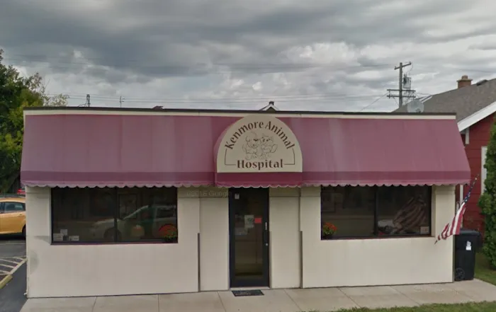 Kenmore Animal Hospital Picture 4