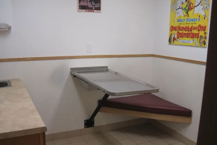 Kenmore Animal Hospital Picture 7