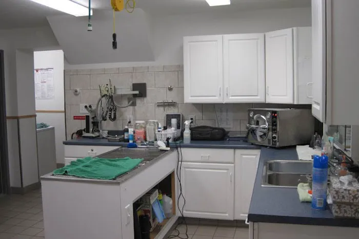 Kenmore Animal Hospital Picture 6