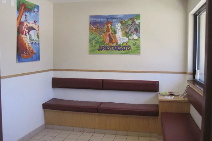Kenmore Animal Hospital Picture 10