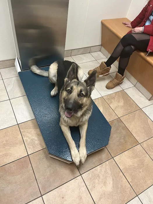 North Buffalo Animal Hospital Picture 2