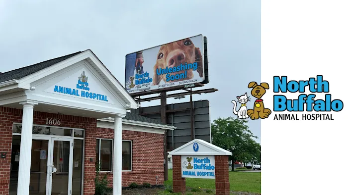 North Buffalo Animal Hospital Picture 3