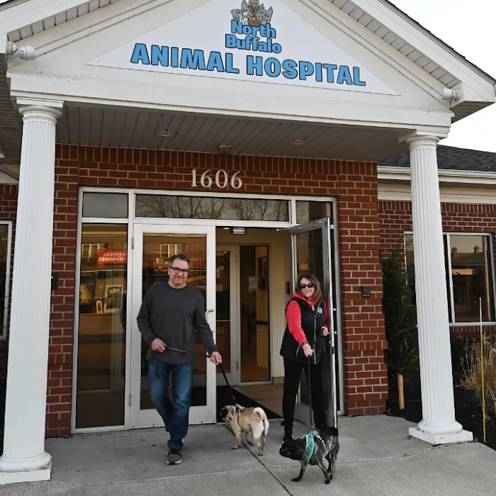 North Buffalo Animal Hospital Picture 5