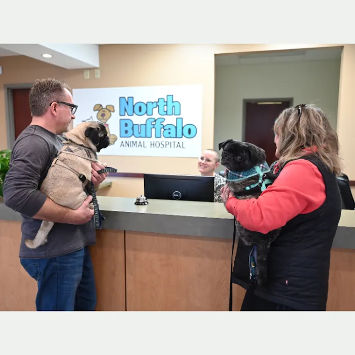 North Buffalo Animal Hospital Picture 10