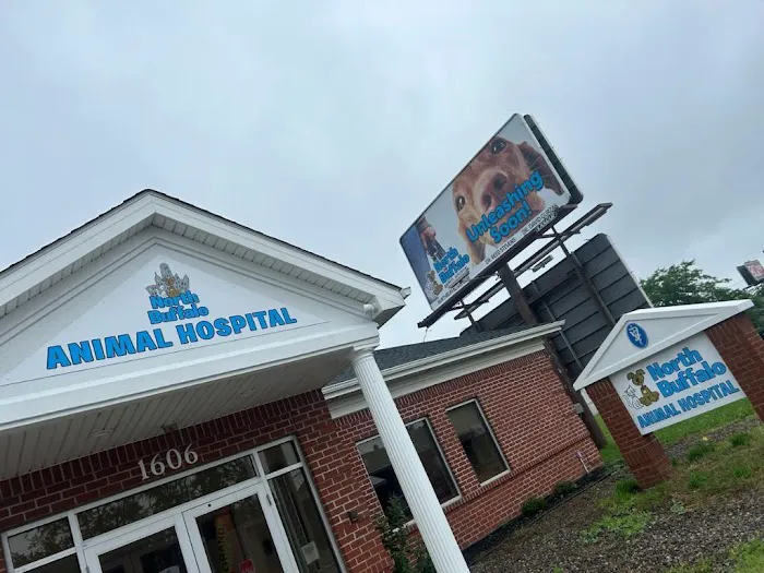 North Buffalo Animal Hospital Picture 9
