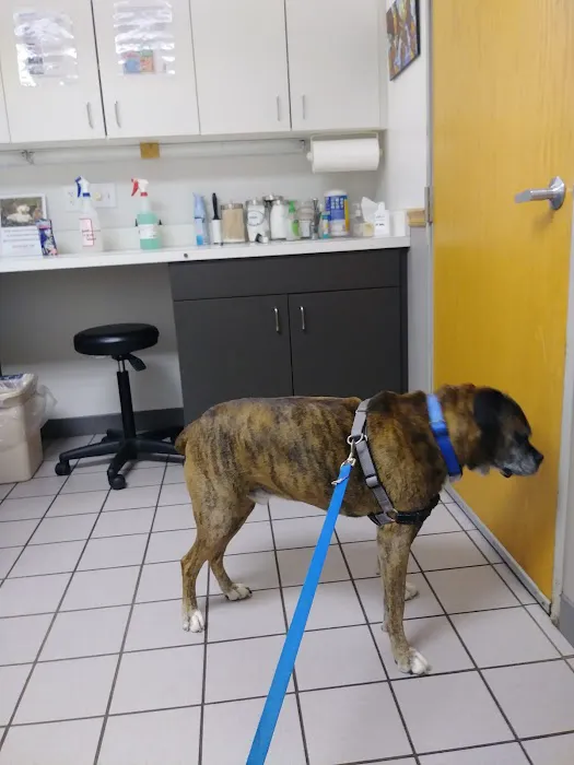 VCA Sheridan Animal Hospital Picture 10