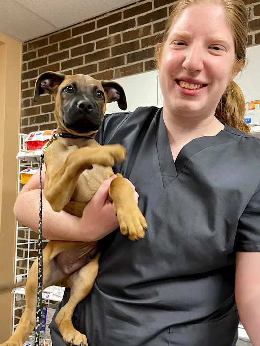 Ken-Ton Animal Clinic Picture 6