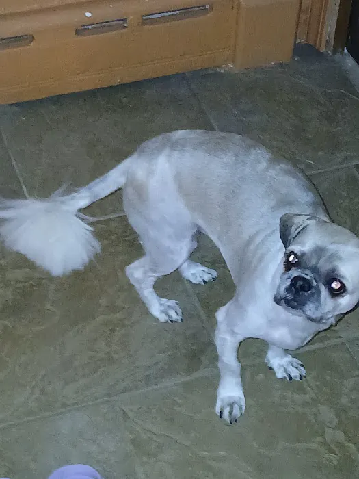 McBride Animal Hospital Picture 5