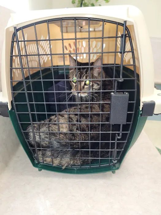 McBride Animal Hospital Picture 4