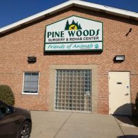 Pine Woods Animal Hospital ico