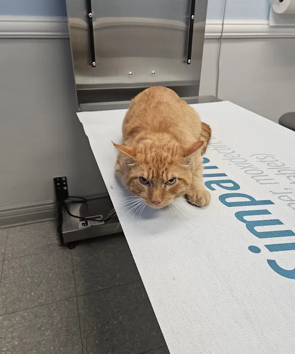 Pine Woods Animal Hospital Picture 3