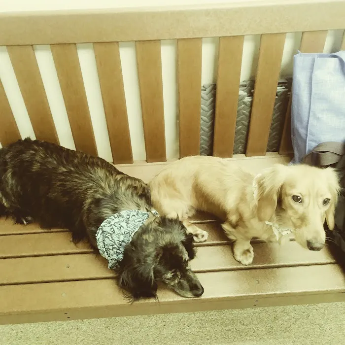 Pine Woods Animal Hospital Picture 6