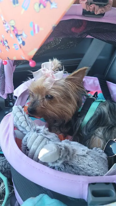 EVS Pet Urgent Care of Niagara Picture 9