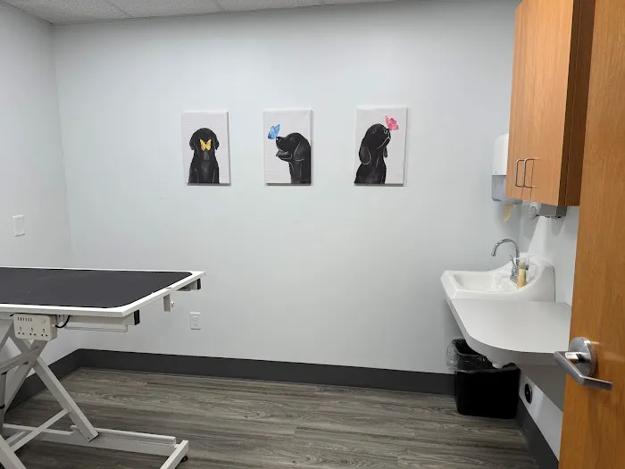 EVS Pet Urgent Care of Niagara Picture 7