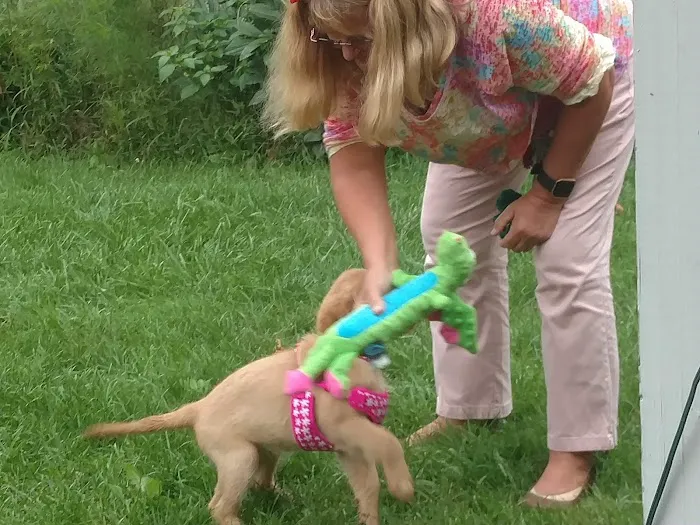 Fredonia Animal Hospital Picture 1