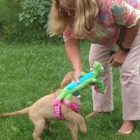 Fredonia Animal Hospital ico