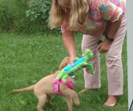 Fredonia Animal Hospital