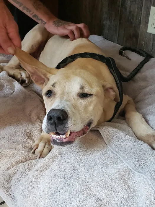 Fredonia Animal Hospital Picture 9