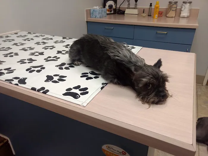 North East Animal Hospital Picture 3