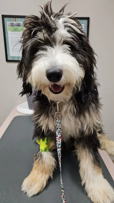 North East Animal Hospital Picture 8