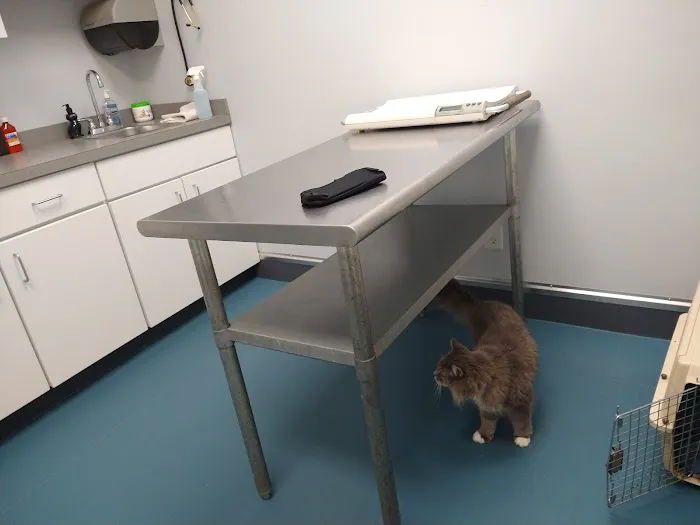Forestville Animal Hospital Picture 1