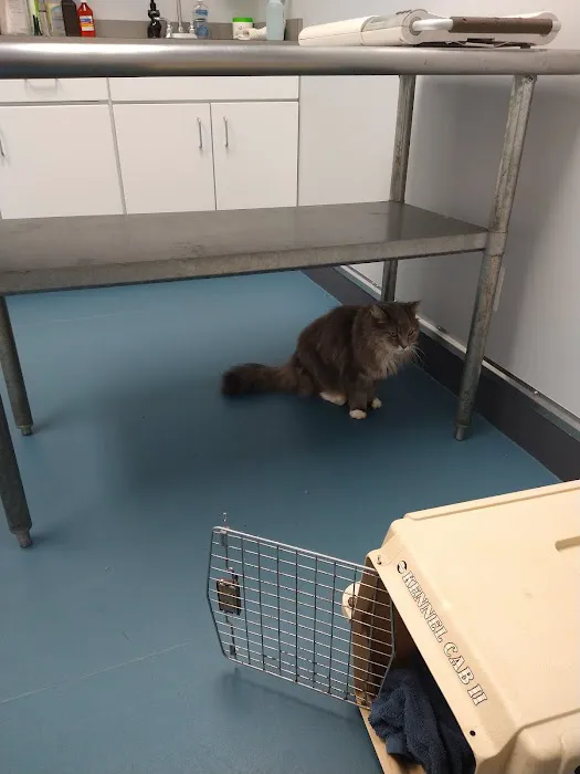 Forestville Animal Hospital Picture 10