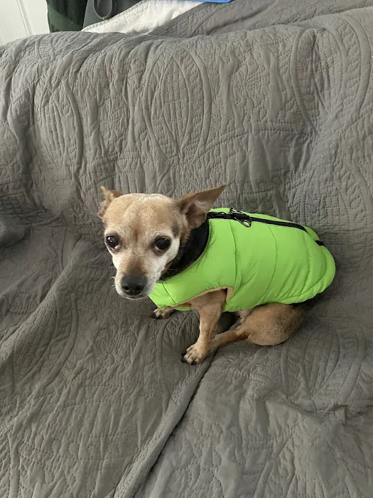 Forestville Animal Hospital Picture 9