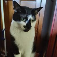 Chapman Brian R Dvm - Union City Pet Hospital ico