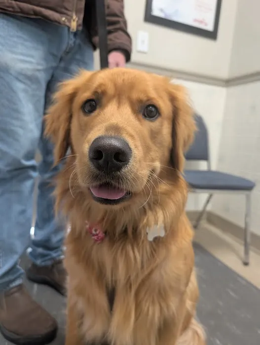 Union City Pet Hospital Picture 4