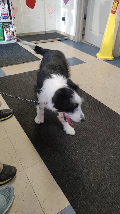 Union City Pet Hospital Picture 10