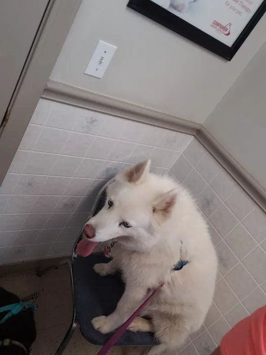 Union City Pet Hospital Picture 9