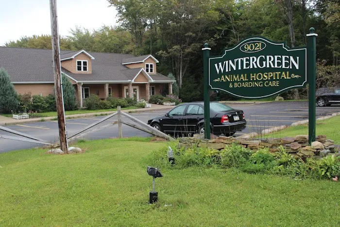 Wintergreen Animal Hospital Picture 2