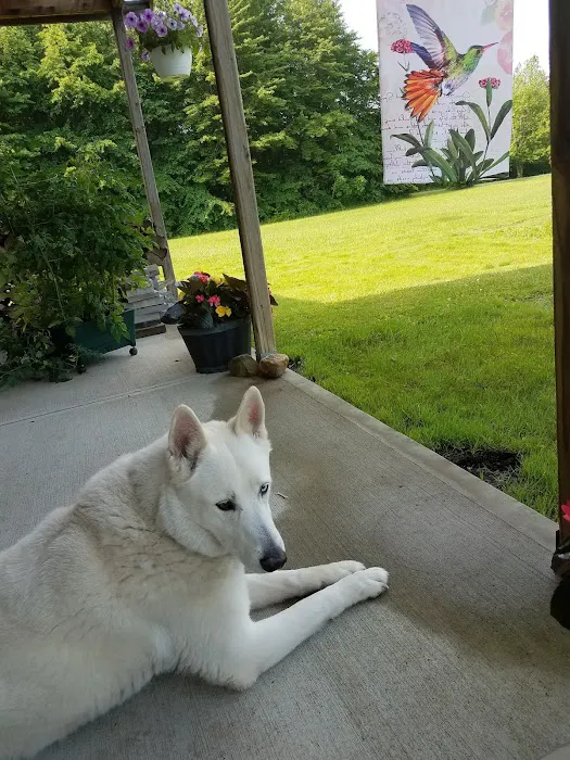 Wilde Veterinary Center Picture 1