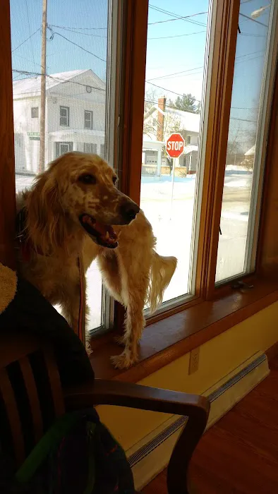 Wilde Veterinary Center Picture 8
