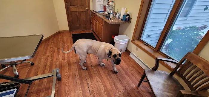 Wilde Veterinary Center Picture 5