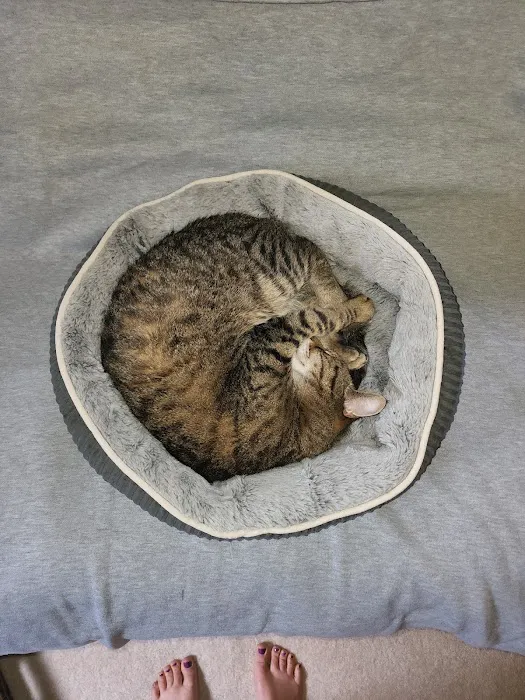 Perry Pet Clinic, LLC Picture 4