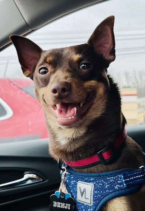 Perry Pet Clinic, LLC Picture 6