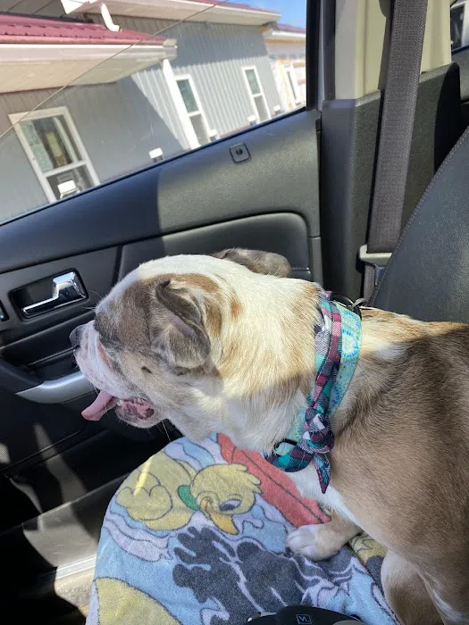 Perry Pet Clinic, LLC Picture 7