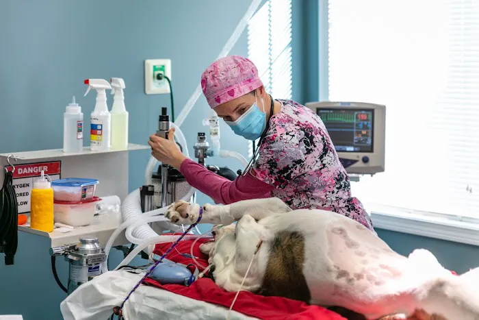 Sugar River Animal Hospital Picture 2