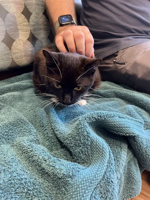 Sugar River Animal Hospital Picture 8