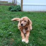 Riverbend Veterinary Clinic