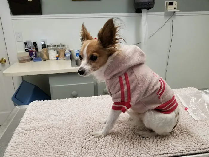 Riverbend Veterinary Clinic Picture 2